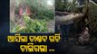 Norwester Wreaks Havoc In Paradip Area - Watch OTV Report