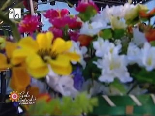 Mihaela Viscea - Hai flacai la taraneasca (Spectacol 16.07.2014)