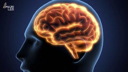 Humans Experience Thousands of Thoughts in a Single Day