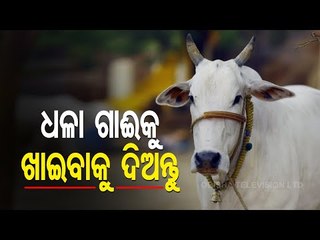 Bhagya Rekha - Know Your Horoscope For Today 20 April 2021 | OTV