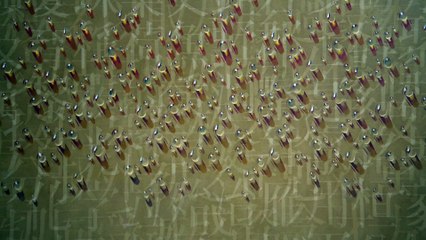 L'homme qui peint des gouttes d'eau - Trailer