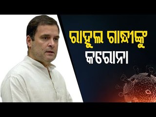 Rahul Gandhi Tests Positive For COVID19