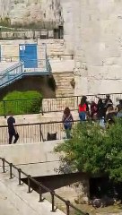 İsrail polisleri Filistinli genç kızı aralarına alıp darp etti