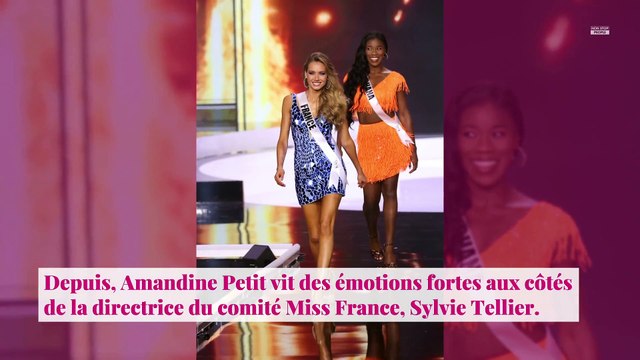 Miss Univers 2020 - Amandine Petit : Sylvie Tellier dévoile son classement sur Instagram