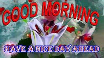 Good morning | good morning wishes | morning song | morning video | morning status | have a nice day ahead | have a blessed day | have a wonderful day | have a great day | have a good day