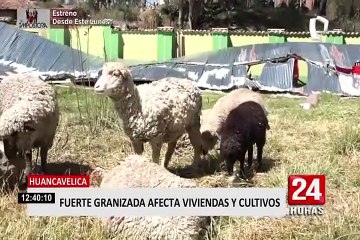 Huancavelica: fuerte granizada afectó cultivos