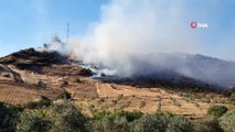 Aydın’da makilik ve tarım arazisi yangını