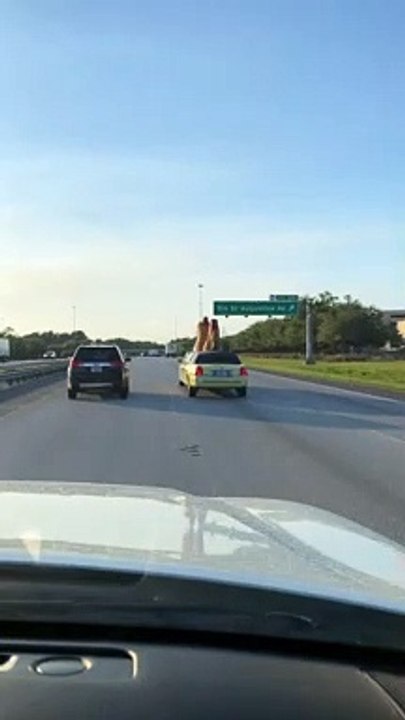 Cluckin' Chicken Limo Styles down Florida Inter...