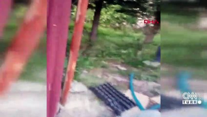 Piknikte köpek kurtarma operasyonu