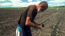 Donbass, la difficile quotidianità dei contadini in mezzo alle bombe