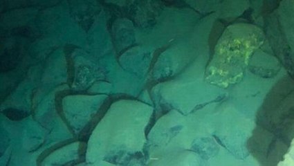 Dünyadaki en derin noktaya 12 saatte inen bilim insanı, ilginç yaratıkla karşılaştı: İsmi Cehennem Bombacısı