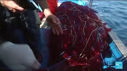 World Oceans Day 2022: Italy's fight against illegal fishing