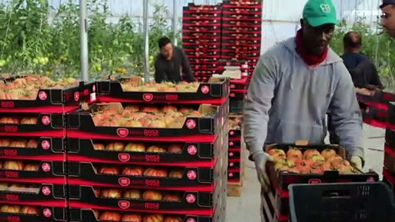 Wer in Spanien Lebensmittel verschwendet, soll blechen