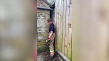 Fire crews free sheep stuck between walls