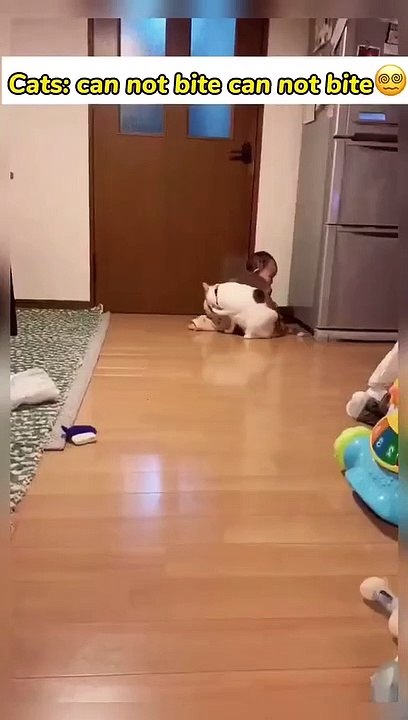 Pet Genie_