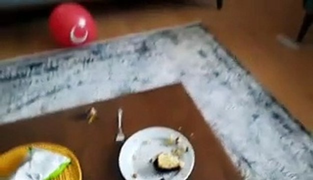 Esila altına çiş yapmış أفضل سلسلة قصص تربوية وأخلاقية للأطفال حفلة عيد ميلاد علي أوراس !! !! ayyyllliip