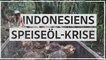 Indonesien: Teures Speiseöl trotz hoher Produktion