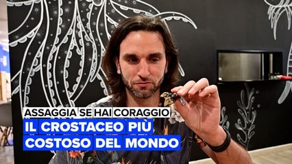 Assaggia se hai coraggio: Percebes