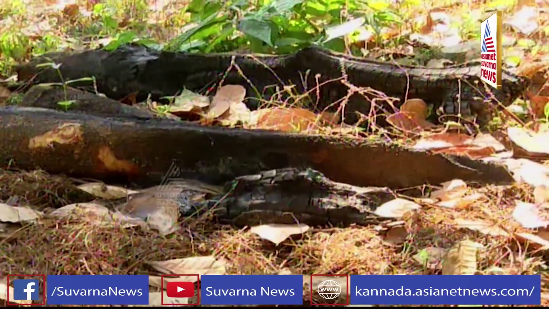 ಕುಂದಾಪುರ; ಕಾರಿದೆ, ಬಂಗಲೆ ಇದೆ.. ಗೋವರ್ಧನನ ಗೋಟಾವಳಿಗೆ ಬಲಿಯಾದ ಮುಗ್ಧೆ!