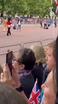 Animal Rebellion Activists Disrupt Queen’s Jubilee Celebrations