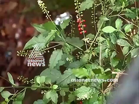 Unity: Learn it from Ants | LENS 8 April 2018