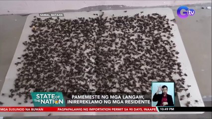 Pamemeste ng mga langaw, inirereklamo ng mga residente | SONA