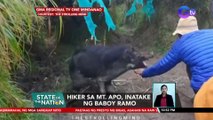 Hiker sa Mt. Apo, inatake ng baboy ramo | SONA