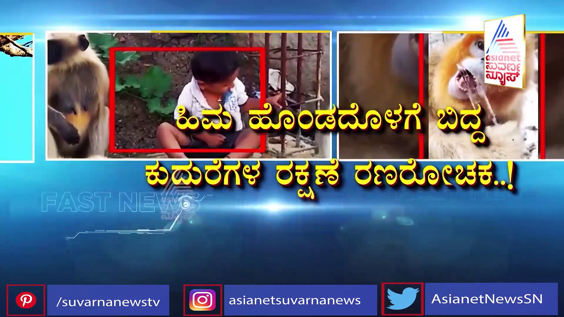 ಭತ್ತದ ಗದ್ದೆಯಲ್ಲಿ ಆನೆಗಳ ಕಾಳಗ; ನೋಡಿದವರು ಗಢಗಢ..!