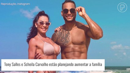 Scheila Carvalho tem relação exposta por Tony Salles: 'Fase de treinamento'. Entenda!