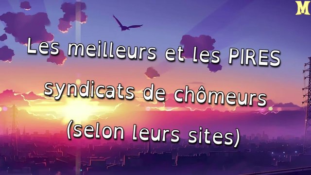 Critique du monde de l'emploi - 04 Les meilleurs et les PIRES syndicats de chômeurs (selon leurs sites)