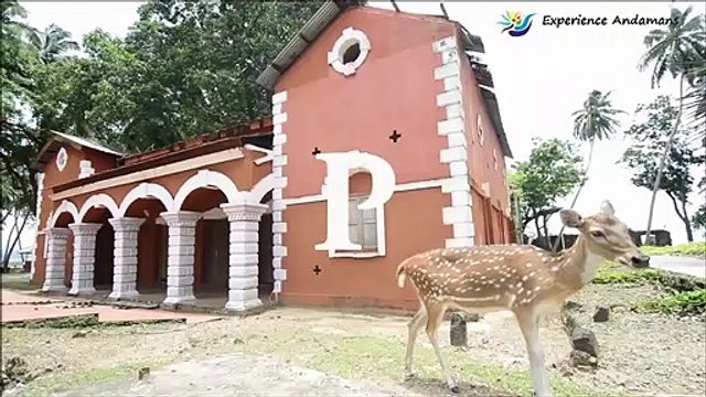 Visit Andaman & Nicobar Islands