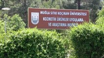 Teknopark İstanbul'da Türkiye'nin ilk tıbbi aromatik bitki dijital kütüphanesi kuruluyor