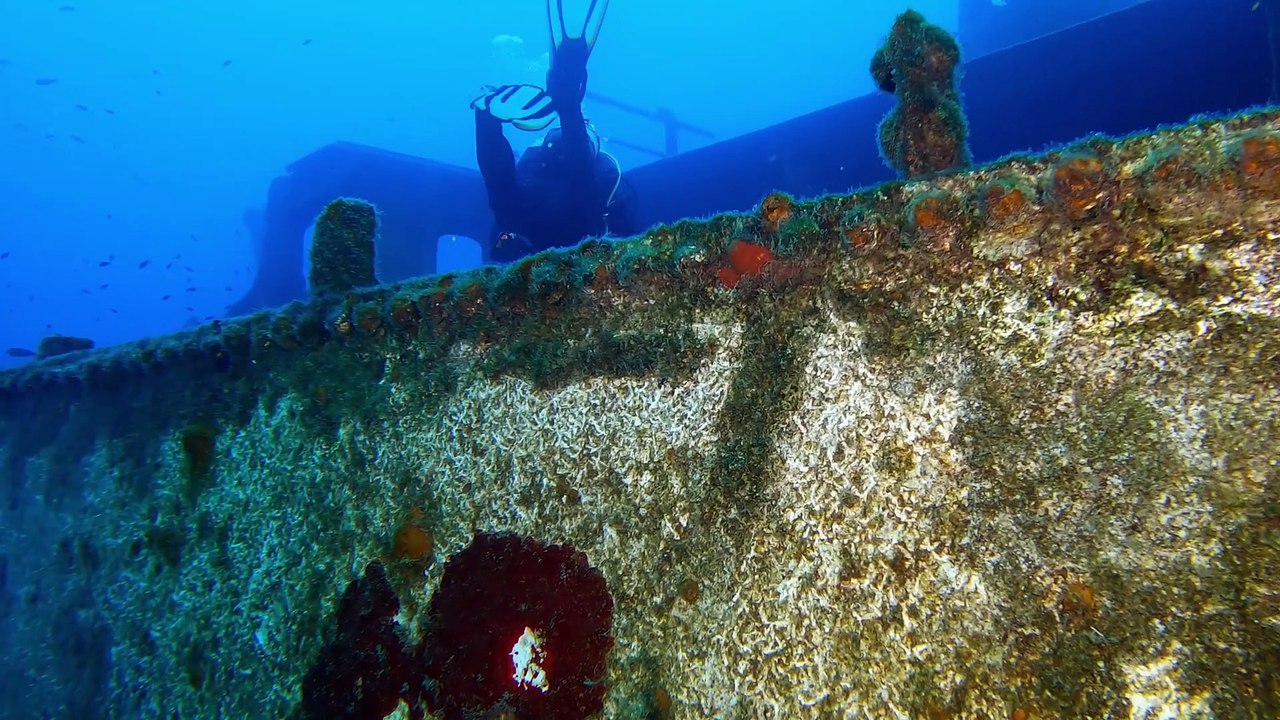 Sonidos de Buceo para Combatir el Insomnio #Imagenes4K