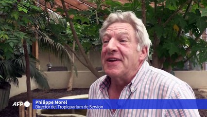 Nace en un zoo primera tortuga gigante de Galápagos albina vista hasta la fecha