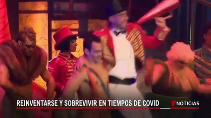 Estos artistas latinos trabajan para que el circo no muera   Noticias