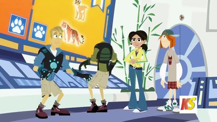 Wild kratts - Cats and dogs