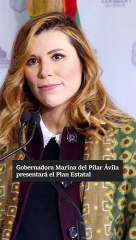 Plan estatal de desarrollo: promesas improbables.