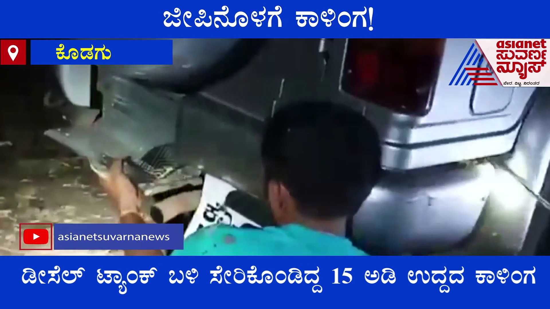 ಅರಣ್ಯ ಇಲಾಖೆ ಜೀಪಿನೊಳಗೆ ಕಾಳಿಂಗ ಸರ್ಪ..!