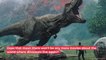 No More 'Jurassic' Movies? This Is What Director Colin Trevorrow Says