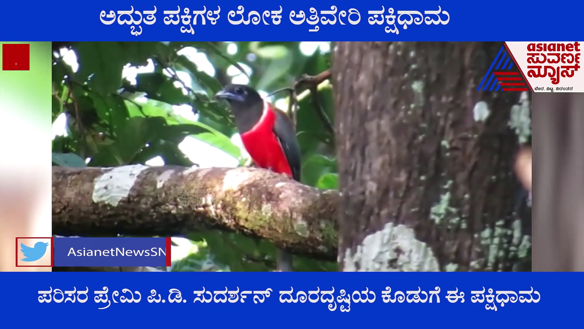 ಪಕ್ಷಿಗಳ ಅದ್ಭುತ ಲೋಕ ಅತ್ತಿವೇರಿ ಪಕ್ಷಿಧಾಮಕ್ಕೆ ಸ್ವಾಗತ..!