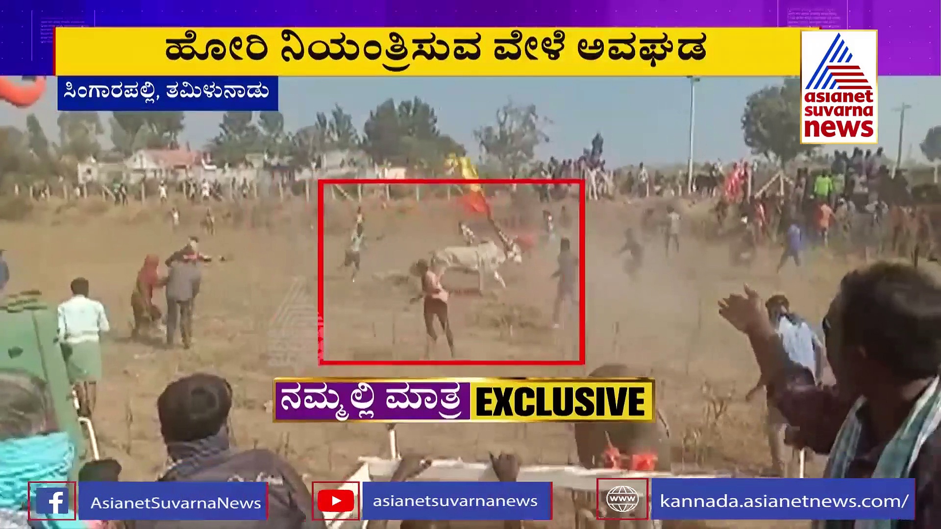 ಜಲ್ಲಿಕಟ್ಟು ಸ್ಪರ್ಧೆಯಲ್ಲಿ ಅವಗಢ; ವ್ಯಕ್ತಿಯನ್ನು ಕಿಮೀಗಟ್ಟಲೆ ಎಳೆದುಕೊಂಡು ಹೋದ ಹೋರಿ