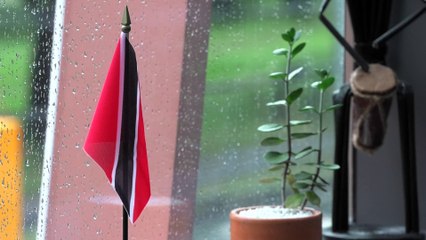 NEDCO PLANS TO GO AFTER DEBTORS