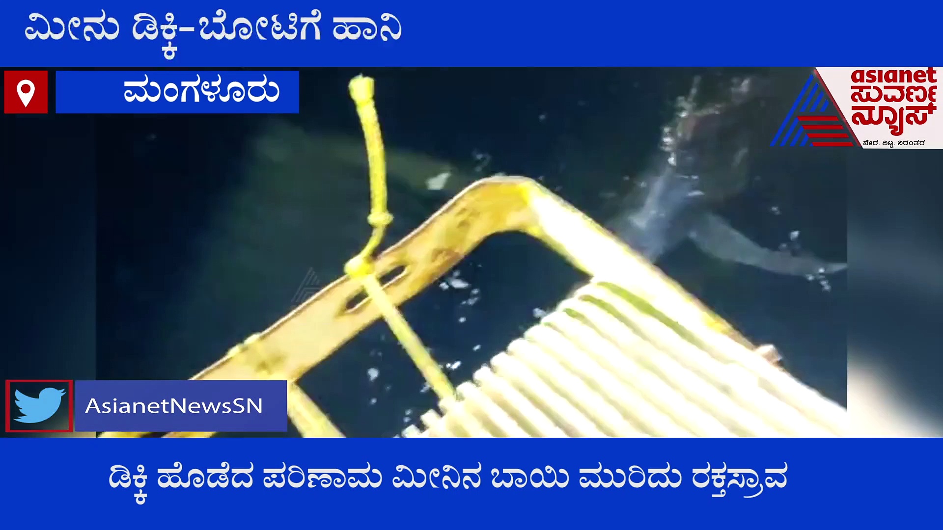 ಮೀನುಗಾರಿಕಾ ಬೋಟ್‌ಗೆ ಮೀನು ಡಿಕ್ಕಿ, ನೋಡಿದರೆ ಆಶ್ವರ್ಯ..! ಈ ಮೀನು ಅಂತಿಂಥದ್ದಲ್ಲ..!