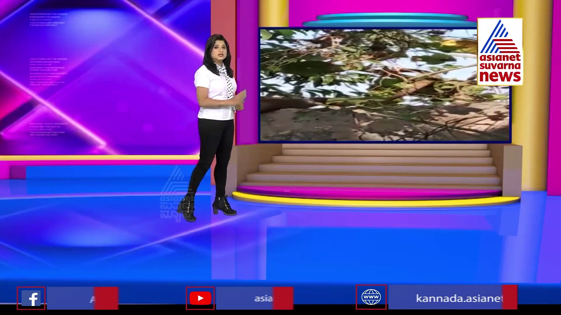 ಹಾವು- ಮುಂಗುಸಿ ಕಾದಾಟದಲ್ಲಿ ಗೆದ್ದಿದ್ದು ಯಾರು?