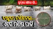 Spl Story | Villagers cross crocodile-inhabited river in Jajpur, pleas to relocate fall on deaf ears
