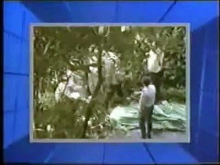 TVNZ Network News (1987)