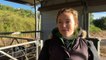 Dairy Industry under threat with Qld farmers selling up