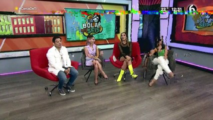 ¡Amor es amor! Perritos chihuahuas se casan y les realizan curiosa ceremonia