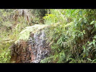 GOWES SANTAI GUNUNG MASIGIT KAREUMBI CICALENGKA