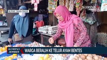 Harga Telur Ayam Melambung Tinggi, Warga Beralih ke Telur Bentes